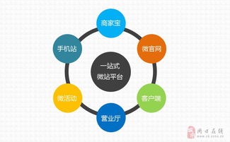 周口指尖傳媒 專業(yè)網(wǎng)站建設(shè)與維護(hù)的領(lǐng)航者